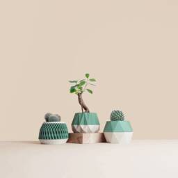 Set Of 3 Wooden Indoor Succulent Planter , Idea For Home Gifts Mid Century Modern Plant Lovers - thumbnail 2