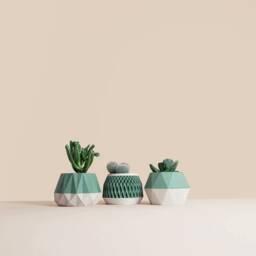 Set Of 3 Wooden Indoor Succulent Planter , Idea For Home Gifts Mid Century Modern Plant Lovers - thumbnail 4