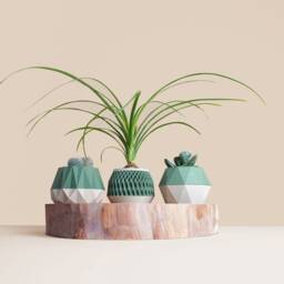 Set Of 3 Wooden Indoor Succulent Planter , Idea For Home Gifts Mid Century Modern Plant Lovers - thumbnail 3