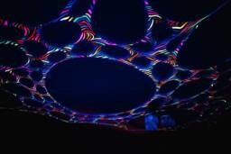 Uv Zebra Print Ceiling & Wall Canopy, Decor, Black Light Tapestry, Glow in The Dark Decorations, Event Planner, Trippy Hanging