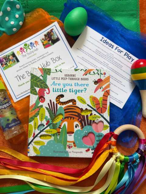 Baby Newborn Sensory Tiger Music & Dance Book Bag - image 1