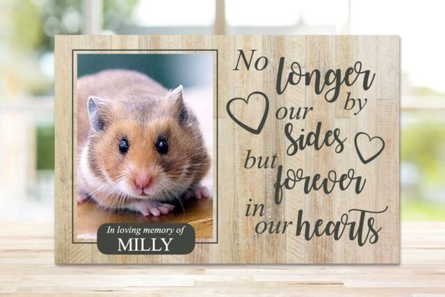 Hamster Memorial Gift, Gerbil Memorial, Mouse Pet Frame, Plaque, Photo Dog Picture Frame - image 1