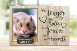 Hamster Memorial Gift, Gerbil Memorial, Mouse Pet Frame, Plaque, Photo Dog Picture Frame - thumbnail 1