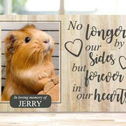 Hamster Memorial Gift, Gerbil Memorial, Mouse Pet Frame, Plaque, Photo Dog Picture Frame - thumbnail 3