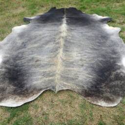 Brindle Gray Brown Large New Cowhide Rug Natural Hair On - 7x7 Ft Size Approx Tri-Color Brown Tones Extra Soft Carpet Cow Hide 6x6 Rt - thumbnail 3