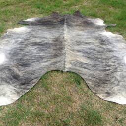 Brindle Gray Brown Large New Cowhide Rug Natural Hair On - 7x7 Ft Size Approx Tri-Color Brown Tones Extra Soft Carpet Cow Hide 6x6 Rt - thumbnail 2