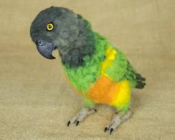 Made To Order Needle Felted Senegal Parrot Custom Needle Felted Animal Sculpture