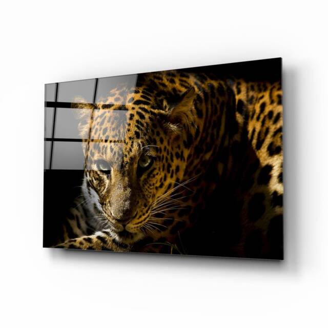 Tempered Glass Wall Art-Wall DecorGlass Printing-Large Hangings-Wild Animal Art - Big Cats-Wild Cat-Leopard Art - image 1