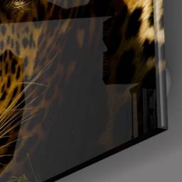 Tempered Glass Wall Art-Wall DecorGlass Printing-Large Hangings-Wild Animal Art - Big Cats-Wild Cat-Leopard Art - thumbnail 3