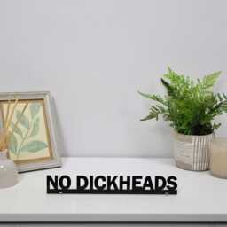 No Dickheads Door Topper - Rude Funny Entrance Sign Cheeky House Rules Gift For Friends Or Colleagues Black Acrylic Over Decor - thumbnail 3