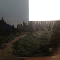 Mural Painting - thumbnail 4