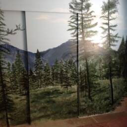 Mural Painting - thumbnail 2