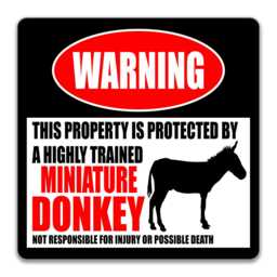 Beware Of Mini Donkey Sign, Funny Farmhouse Wall Decor, Rustic Barn Art - thumbnail 3