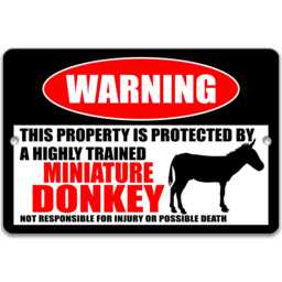 Beware Of Mini Donkey Sign, Funny Farmhouse Wall Decor, Rustic Barn Art - thumbnail 1