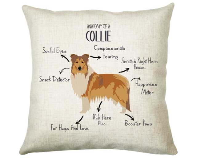 Anatomy Of A Collie Funny Gift For Him Or Her Cushion Pillow Bedroom Decor Stc0094 - image 1
