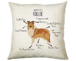 Anatomy Of A Collie Funny Gift For Him Or Her Cushion Pillow Bedroom Decor Stc0094 - thumbnail 1