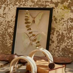 Jesmonite Table Planter For Tillandsia & Dried Plants - Eco Resin Botanical Display - thumbnail 2