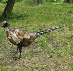 Hand Crafted Recycled New Style Metal Pheasant. Outdoor Garden Sculpture. Pheasants - thumbnail 1