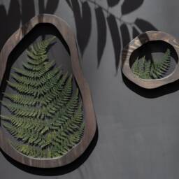 Asymmetrical Pressed Flower Art - Set Of Two Frames Pressed Fern Herbarium Frame Botanical Wall Wall Decor - thumbnail 3