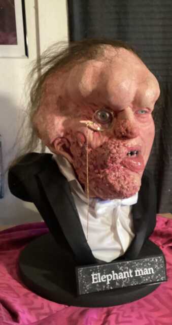The Elephant Man Museum Life Size Bust 11 2022 - image 1