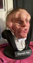 The Elephant Man Museum Life Size Bust 11 2022