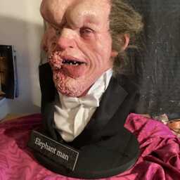 The Elephant Man Museum Life Size Bust 11 2022 - thumbnail 3