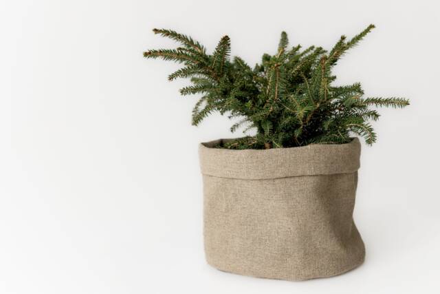 Custom Linen Plant Pot Cover By Your Size Natural Non-Dyed Fabric Rustic Stylish Home Decor - image 1