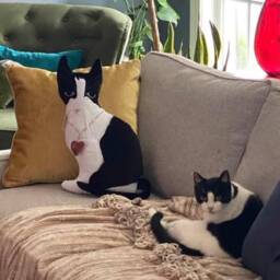 Quality Pet Custom Cat Commission .unique Gift Personalised Just Send Me Your Pictures Of Cat , Contact Shop - thumbnail 3