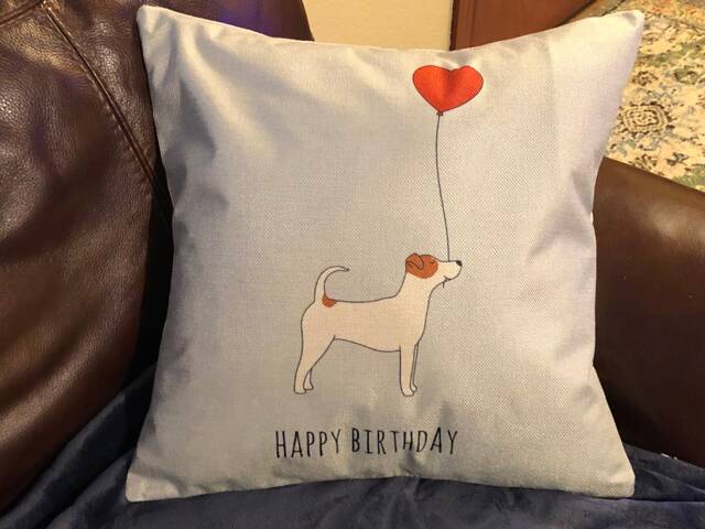 Happy Birthday Decorative Pillow Covers - image 1