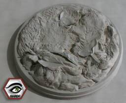 Cesar 1/6 Resin Kit - thumbnail 4
