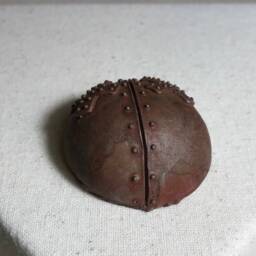 Resting Rust-Ling - thumbnail 3