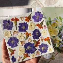 Summer Souvenir Herbarium, Herbarium Framed With Dried Flowers & Leaves, French Designer, Botanik Flower Farm, Organic Farming - thumbnail 3