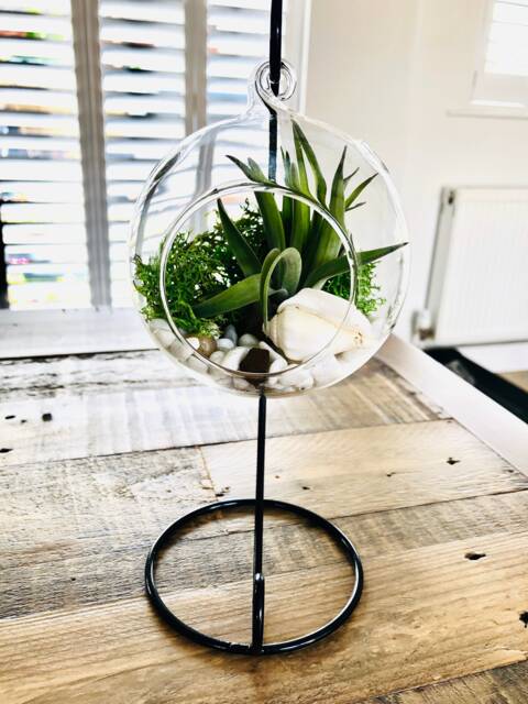 Diy Terrarium Air Plant Kit, Glass With A Stand. Air in Terrarium. Hanging Plant. Open Terrarium Kit - image 1