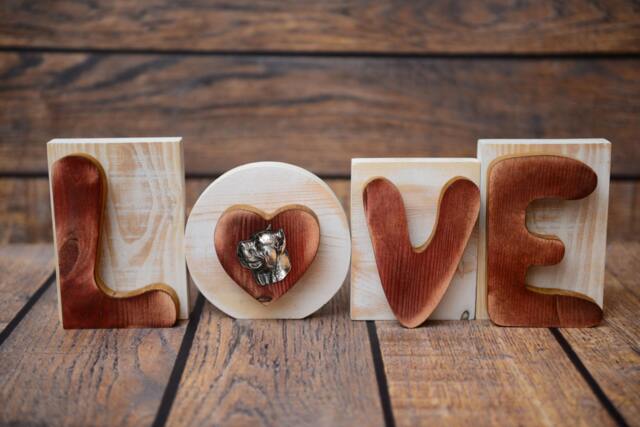 "Wooden Sign Love Great Decoration Purebred Dog in The Letter ""O" - image 1