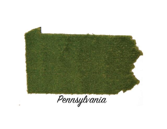 Pennsylvania Synthetic Grass Doormat - Rug Wall Decor - image 1