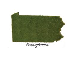 Pennsylvania Synthetic Grass Doormat - Rug Wall Decor