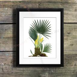 Palm Tree Botanical Art Print, Tropical Island Decor - 8x10 - thumbnail 2