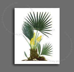 Palm Tree Botanical Art Print, Tropical Island Decor - 8x10 - thumbnail 1
