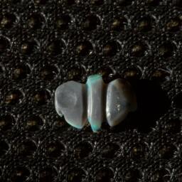 Green Galaxy Semi-Blackopal Butterfly With Green & Blue Fire Opal Carving - 1 Cts - thumbnail 3
