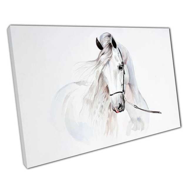 Majestic White Andalusian Horse Watercolor Canvas Print Elegant Home & Office Wall Art Decor - image 1