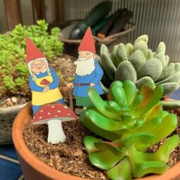 Garden Gnomes Fancy Plants Diorama Kit - thumbnail 3