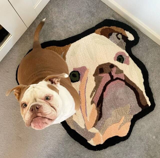 Custom Pet Portrait Rug, Personalized Dog Portrait, Animal Handmade Tufted Gift, Gifts For Pets - image 1