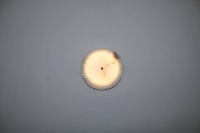 Round Marble Wall Lamp , Small Light, Bathroom Light Lighting Vanity Light Fixture, Sconce, Lamp - image 1