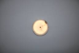 Round Marble Wall Lamp , Small Light, Bathroom Light Lighting Vanity Light Fixture, Sconce, Lamp - thumbnail 1