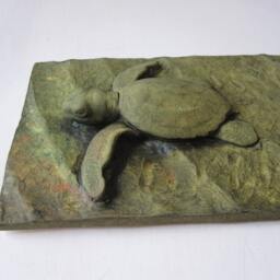 Green Sea Turtle Hatchling Wall Sculpture Art - thumbnail 3
