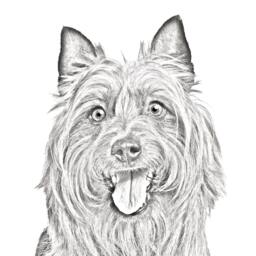 Australian Terrier - Wooden Stand For Candles/Pens With The Image Of A Dog New Collection - thumbnail 2