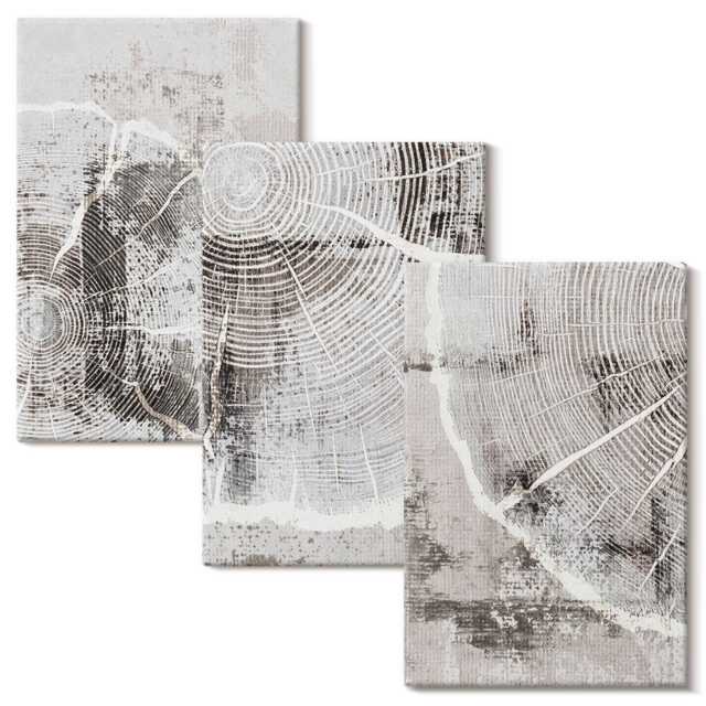 Canvas Wall Art Set Of 3 - Wood Grain Patterns in Shades Gray & White, Large Art, Natural Textures Hanging Piece - image 1