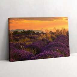 Lavender Meadow Provence France Canvas, Wall Art Picture, Purple Decoration, Travel Canvas - thumbnail 2