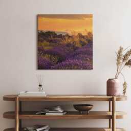 Lavender Meadow Provence France Canvas, Wall Art Picture, Purple Decoration, Travel Canvas - thumbnail 1