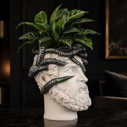 Aristotle Bust Planter - Cast Stone Classical Head Pot, Biomechanical Decor - thumbnail 3